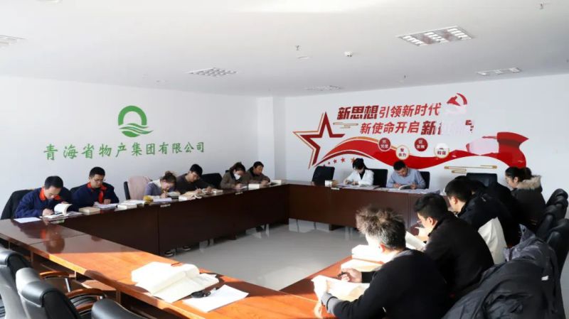 凝心鑄魂學(xué)思想 充電蓄能促提升——集團(tuán)團(tuán)委組織開(kāi)展團(tuán)員和青年主題教育“挺膺擔(dān)當(dāng)”專題集中學(xué)習(xí)